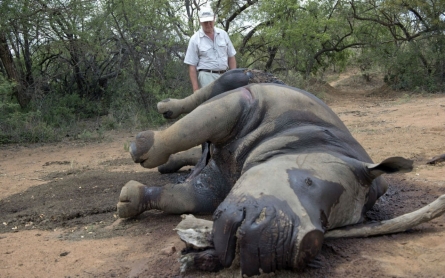 Texas hunters pledge to save endangered black rhinos by killing one