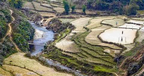 vietnamese highlands