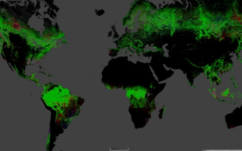 Thumbnail image for Mapping global deforestation