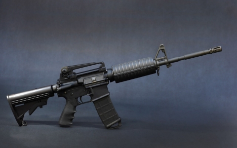 An AR-15 rifle.