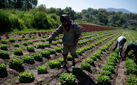 Thumbnail image for Contamination cases renew fears over globalized food supply