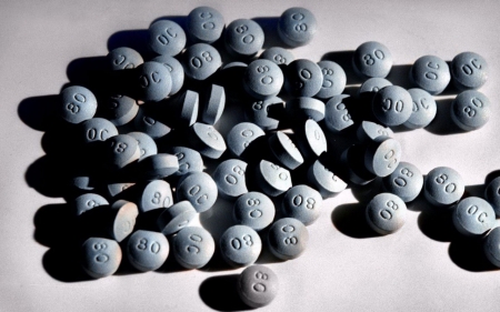 Painkiller addictions worst drug epidemic in US history