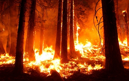 Smoke from Sierra wildfire obscures Yosemite Valley