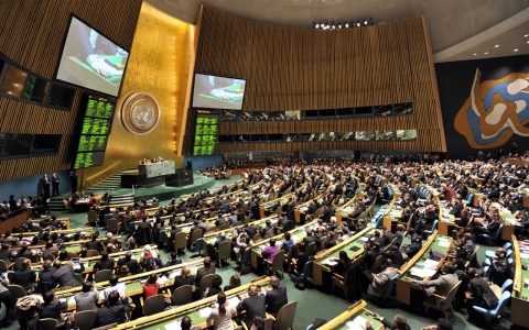 United Nations General Assembly