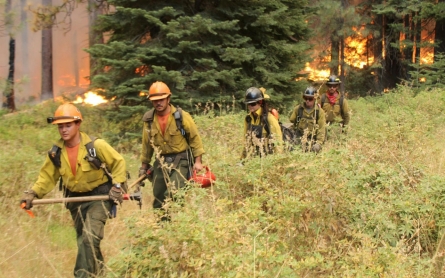 Big gains on wildfire near Yosemite National Park