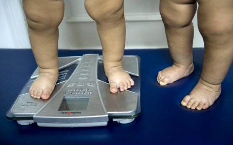 Thumbnail image for Chronic obesity risk starts before kindergarten