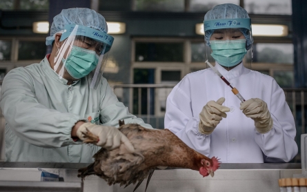 Canadian dies in first case of bird flu reported in North America