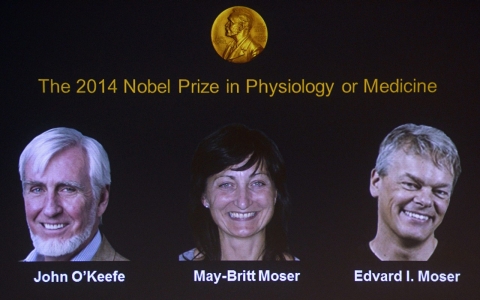 Thumbnail image for Nobel Prize in medicine awarded for discovery of brain’s ‘GPS’