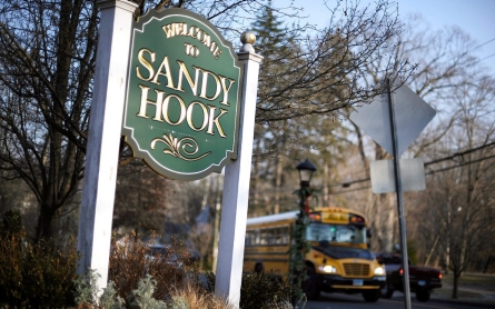 State report: Lack of mental health care contributed to Newtown shootings