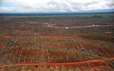 Thumbnail image for Raid on Peru village by uncontacted tribe may be related to climate change