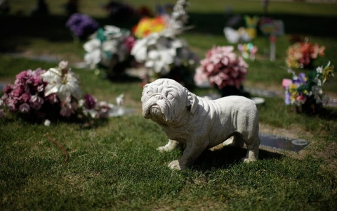 Thumbnail image for Condolences – and a fat profit margin – on the loss of your pet