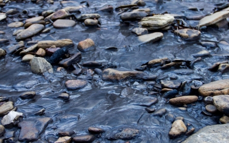 Coal slurry spill pollutes W.Va. creek