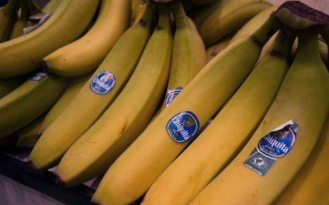 Thumbnail image for Chiquita merger reignites fears of a disappearing banana crop