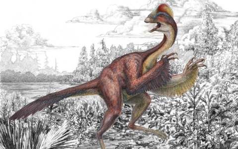 Thumbnail image for Scientists give formal name to ‘chicken from hell’ dinosaur