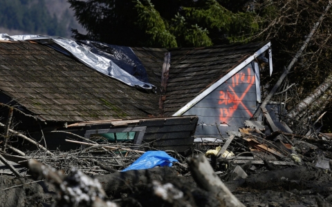 Thumbnail image for 'No signs of life' in Washington mudslide