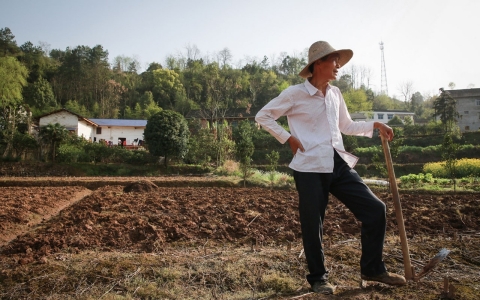 Thumbnail image for China says one-fifth of its farmland is polluted