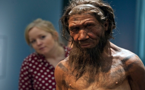 Thumbnail image for Neanderthal demise not caused by inferiority, new study suggests