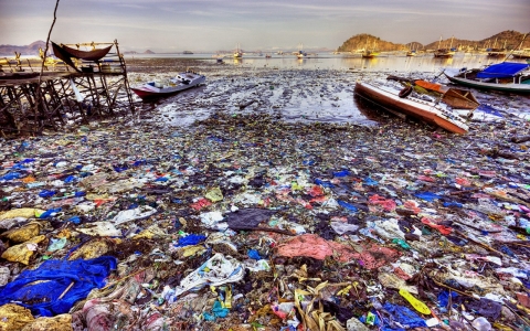 Thumbnail image for Arctic ice melt to release 1 trillion pieces of plastic into sea