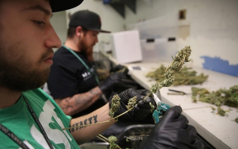 Thumbnail image for Legal marijuana, a multibillion-dollar industry, still faces legal hurdles