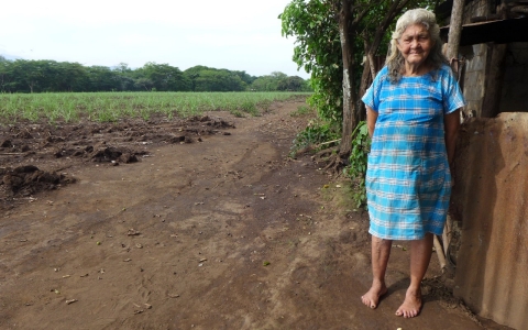 nicaragua kidney disease widow