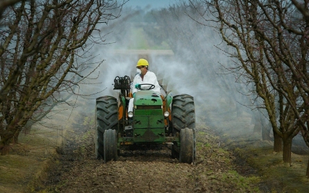 Study suggests possible link between autism and pesticide exposure