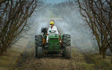 Thumbnail image for Study suggests possible link between autism and pesticide exposure