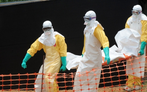 Thumbnail image for WHO urges 'drastic action' to combat Ebola in West Africa