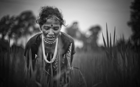 Thumbnail image for Uterine prolapse: The hidden agony of Nepalese women