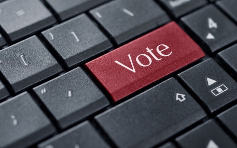 Thumbnail image for Court case: Voting via the Internet is a civil rights issue for disabled