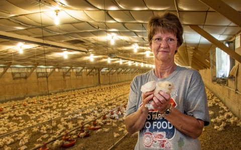 Thumbnail image for Poop in the coop: Chicken farmer battles the EPA