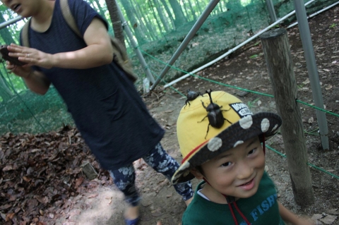 Showing a child at Mushi Mushi Land 2014