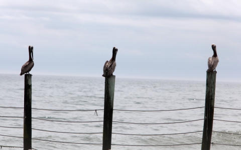 Thumbnail image for East Coast offshore drilling proposed for first time 