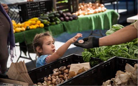 Thumbnail image for Census: 16 million kids relied on food stamps in 2014 