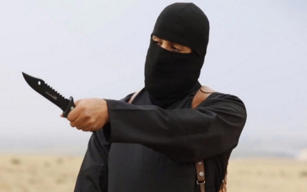 US 'reasonably certain' that airstrike killed ISIL fighter 'Jihadi John'