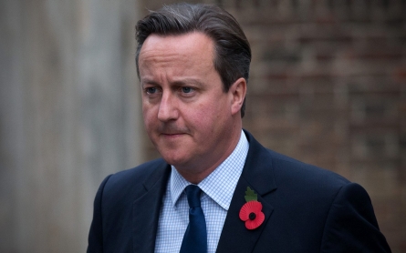 Cameron: ‘More likely than not’ Russian plane downed by 'terrorist bomb'