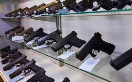 Gun reform language affects US attitudes toward issue