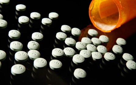 Florida crackdown on 'pill mills' saved a thousand lives: report