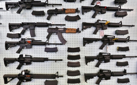 Doctors urge Congress to fund gun violence research