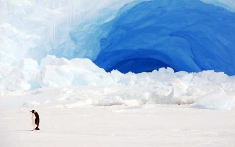 Thumbnail image for Scientists warn Antarctic melting more extensive than previously thought