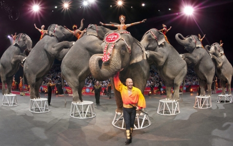 Thumbnail image for Circus vows to stomp out its elephant performances by 2018