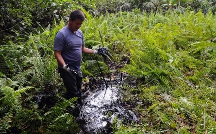 Leaked videos suggest Chevron cover-up of Amazon pollution