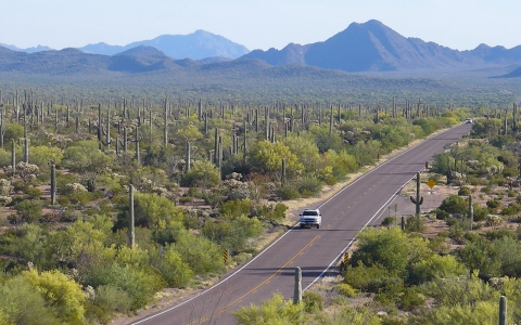 rgan Pipe Cactus National Monument