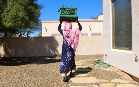 Thumbnail image for Refugees pick their way to a new life in Arizona, one tree at a time