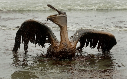 Deep-water drilling to resume near site of 2010 BP oil disaster