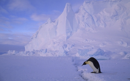 Antarctic ice shelf could crumble, says NASA study