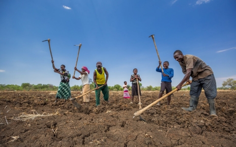 Thumbnail image for Zambia: Wildlife poachers trade guns for gardens