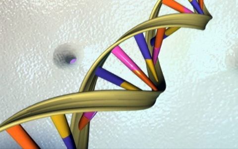 Thumbnail image for White House backs moratorium on gene-editing over ethical concerns 