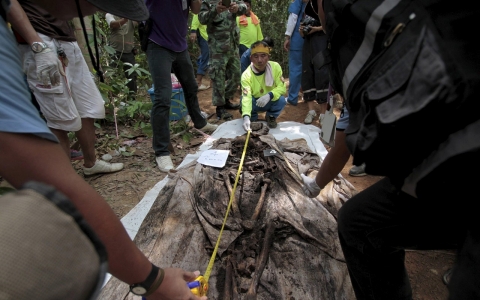 Thumbnail image for Six more suspected Rohingya bodies found in Thai trafficking probe