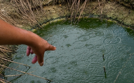 Filthy water and shoddy sewers plague poor Black Belt counties