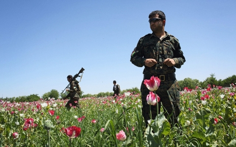 Thumbnail image for A struggle for peace in Afghan province most deadly for foreign troops